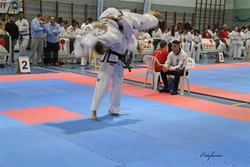 Copa Seul 2018 (350).jpg